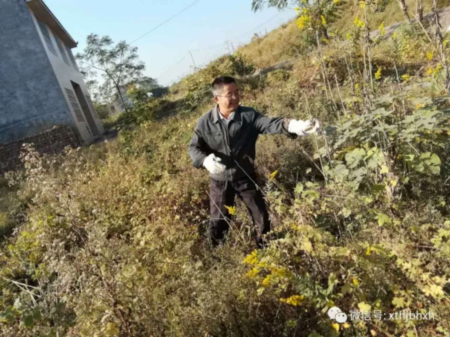 webwxgetmsgimg (7).jpg