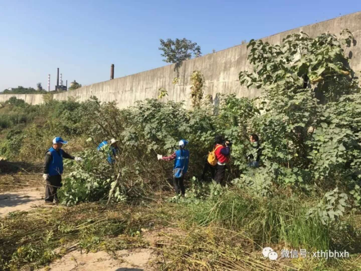 webwxgetmsgimg (9).jpg